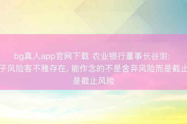 bg真人app官网下载 农业银行董事长谷澍: 大模子风险客不雅存在, 能作念的不是舍弃风险而是截止风险