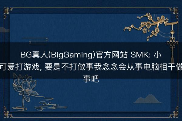 BG真人(BigGaming)官方网站 SMK: 小技术可爱打游戏, 要是不打做事我念念会从事电脑相干做事吧